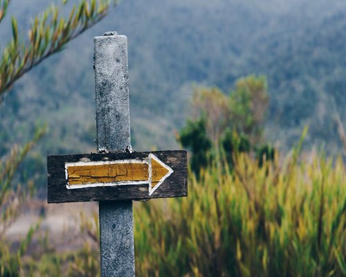 A wooden signpost indicating directions on an alpine trail