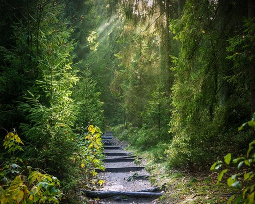 A well-marked dirt path winding through green hills in Tuscany
